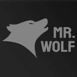 Mr Wolf Slots